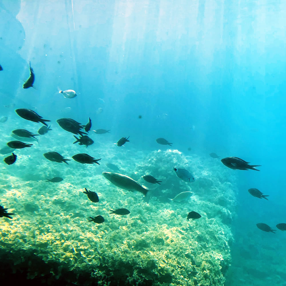 Njivice semisubmarine photograph